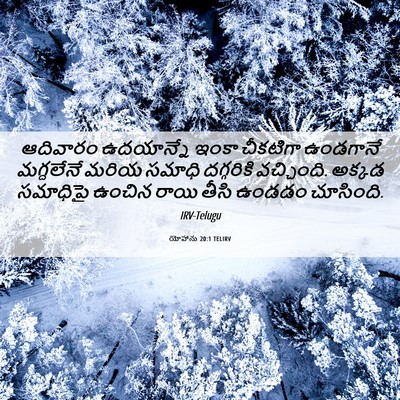 Picture 06 - యోహాను 20:1 TELIRV - ఆదివారం ఉదయాన్నే - Bible Verse Picture