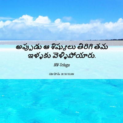 Picture 06 - యోహాను 20:10 TELIRV - అప్పుడు ఆ - Bible Verse Picture