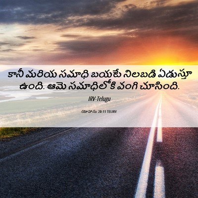 Picture 06 - యోహాను 20:11 TELIRV - కానీ మరియ సమాధి - Bible Verse Picture