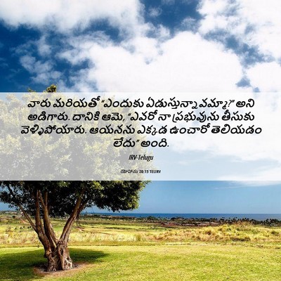 Picture 06 - యోహాను 20:13 TELIRV - వారు మరియతో - Bible Verse Picture