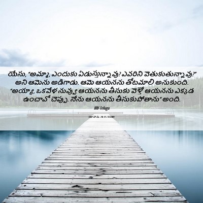 Picture 06 - యోహాను 20:15 TELIRV - యేసు, “అమ్మా, - Bible Verse Picture
