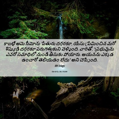 Picture 06 - యోహాను 20:2 TELIRV - కాబట్టి ఆమె - Bible Verse Picture