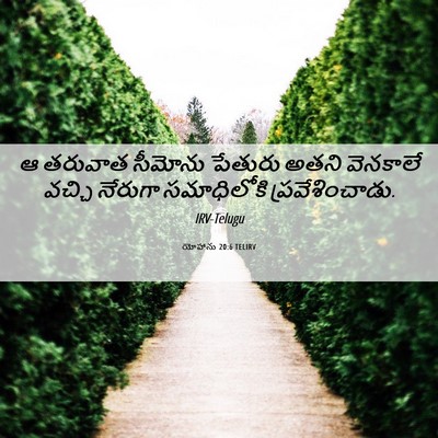 Picture 06 - యోహాను 20:6 TELIRV - ఆ తరువాత సీమోను - Bible Verse Picture