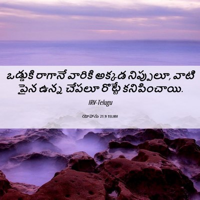 Picture 06 - యోహాను 21:9 TELIRV - ఒడ్డుకి రాగానే - Bible Verse Picture