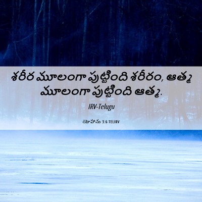 Picture 06 - యోహాను 3:6 TELIRV - శరీర మూలంగా - Bible Verse Picture
