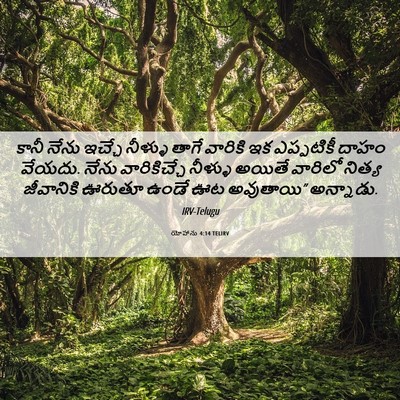 Picture 06 - యోహాను 4:14 TELIRV - కానీ నేను ఇచ్చే - Bible Verse Picture