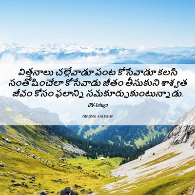 Picture 06 - యోహాను 4:36 TELIRV - విత్తనాలు - Bible Verse Picture