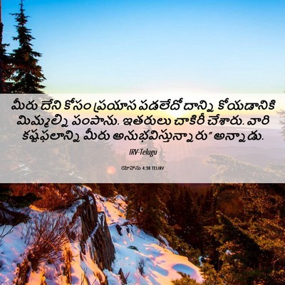 Picture 06 - యోహాను 4:38 TELIRV - మీరు దేని కోసం - Bible Verse Picture