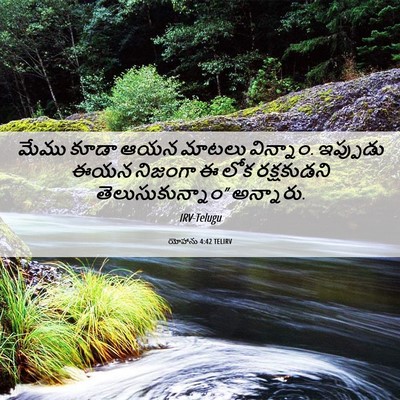Picture 06 - యోహాను 4:42 TELIRV - మేము కూడా ఆయన - Bible Verse Picture