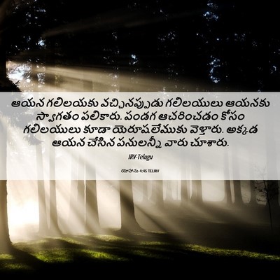 Picture 06 - యోహాను 4:45 TELIRV - ఆయన గలిలయకు - Bible Verse Picture