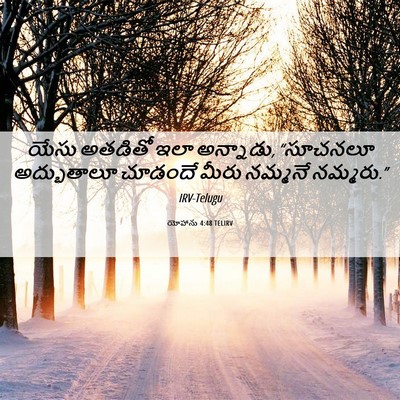 Picture 06 - యోహాను 4:48 TELIRV - యేసు అతడితో ఇలా - Bible Verse Picture