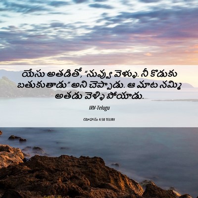 Picture 06 - యోహాను 4:50 TELIRV - యేసు అతడితో, - Bible Verse Picture