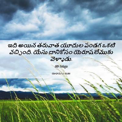 Picture 06 - యోహాను 5:1 TELIRV - ఇది అయిన తరువాత - Bible Verse Picture