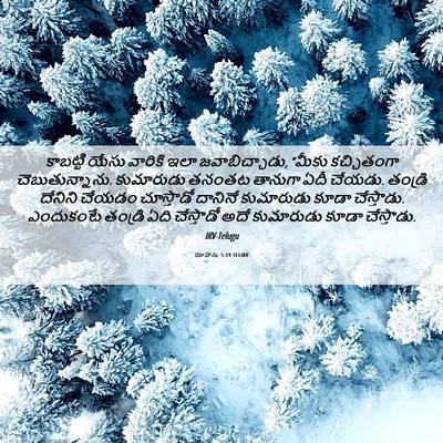 Picture 06 - యోహాను 5:19 TELIRV - కాబట్టి యేసు - Bible Verse Picture