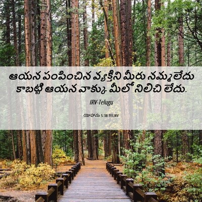 Picture 06 - యోహాను 5:38 TELIRV - ఆయన పంపించిన - Bible Verse Picture