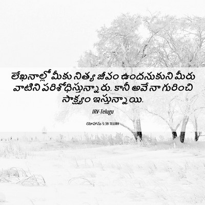 Picture 06 - యోహాను 5:39 TELIRV - లేఖనాల్లో మీకు - Bible Verse Picture