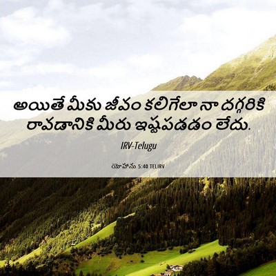 Picture 06 - యోహాను 5:40 TELIRV - అయితే మీకు జీవం - Bible Verse Picture