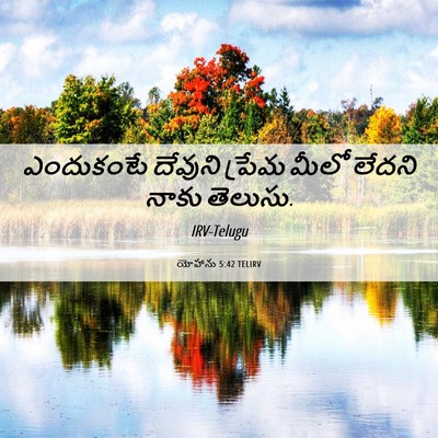 Picture 06 - యోహాను 5:42 TELIRV - ఎందుకంటే దేవుని - Bible Verse Picture