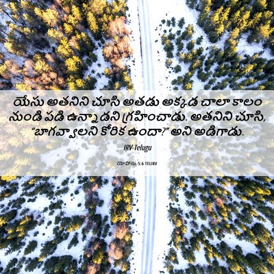 Picture 06 - యోహాను 5:6 TELIRV - యేసు అతనిని చూసి - Bible Verse Picture