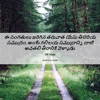 Picture 06 - యోహాను 6:1 TELIRV - ఈ సంగతులు జరిగిన - Bible Verse Picture