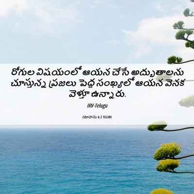 Picture 06 - యోహాను 6:2 TELIRV - రోగుల విషయంలో ఆయన - Bible Verse Picture