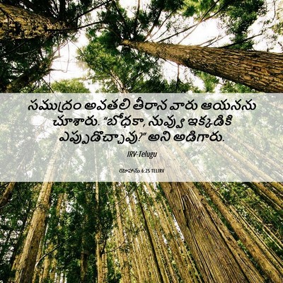 Picture 06 - యోహాను 6:25 TELIRV - సముద్రం అవతలి - Bible Verse Picture
