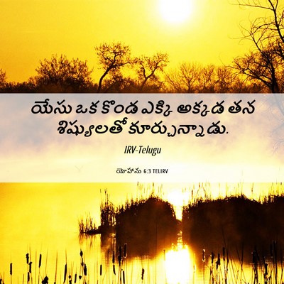 Picture 06 - యోహాను 6:3 TELIRV - యేసు ఒక కొండ ఎక్కి - Bible Verse Picture
