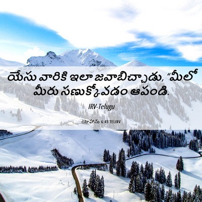Picture 06 - యోహాను 6:43 TELIRV - యేసు వారికి ఇలా - Bible Verse Picture
