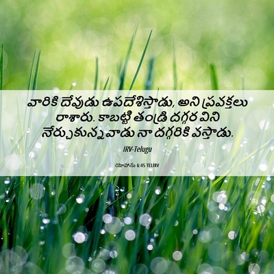 Picture 06 - యోహాను 6:45 TELIRV - వారికి దేవుడు - Bible Verse Picture