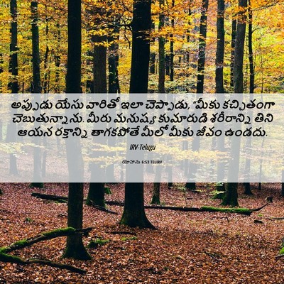 Picture 06 - యోహాను 6:53 TELIRV - అప్పుడు యేసు - Bible Verse Picture