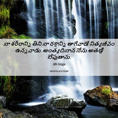 Picture 06 - యోహాను 6:54 TELIRV - నా శరీరాన్ని తిని - Bible Verse Picture