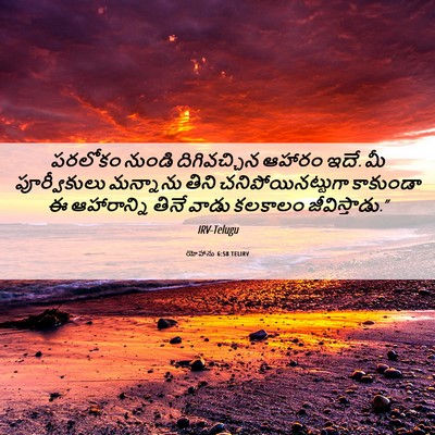Picture 06 - యోహాను 6:58 TELIRV - పరలోకం నుండి - Bible Verse Picture