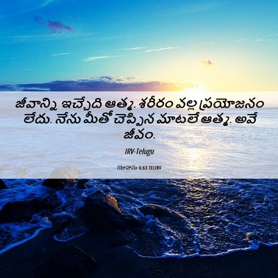 Picture 06 - యోహాను 6:63 TELIRV - జీవాన్ని ఇచ్చేది - Bible Verse Picture