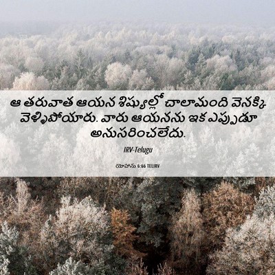 Picture 06 - యోహాను 6:66 TELIRV - ఆ తరువాత ఆయన - Bible Verse Picture