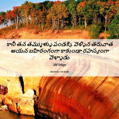 Picture 06 - యోహాను 7:10 TELIRV - కానీ తన తమ్ముళ్ళు - Bible Verse Picture