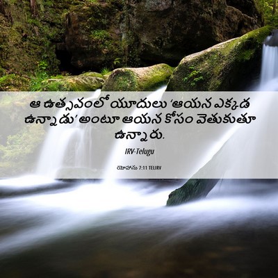 Picture 06 - యోహాను 7:11 TELIRV - ఆ ఉత్సవంలో యూదులు - Bible Verse Picture