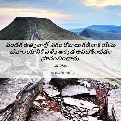 Picture 06 - యోహాను 7:14 TELIRV - పండగ ఉత్సవాల్లో - Bible Verse Picture