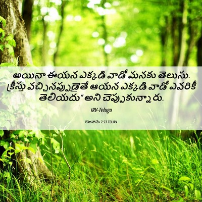 Picture 06 - యోహాను 7:27 TELIRV - అయినా ఈయన ఎక్కడి - Bible Verse Picture