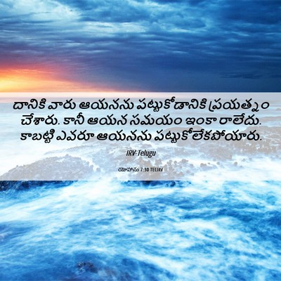 Picture 06 - యోహాను 7:30 TELIRV - దానికి వారు ఆయనను - Bible Verse Picture
