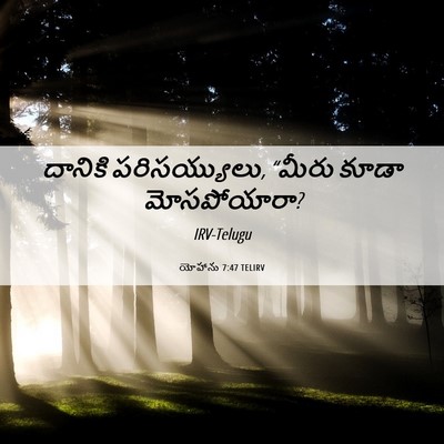 Picture 06 - యోహాను 7:47 TELIRV - దానికి - Bible Verse Picture