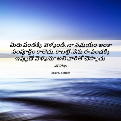 Picture 06 - యోహాను 7:8 TELIRV - మీరు పండక్కి - Bible Verse Picture