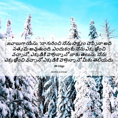 Picture 06 - యోహాను 8:14 TELIRV - జవాబుగా యేసు, “నా - Bible Verse Picture