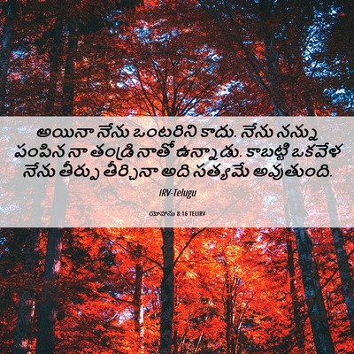 Picture 06 - యోహాను 8:16 TELIRV - అయినా నేను - Bible Verse Picture