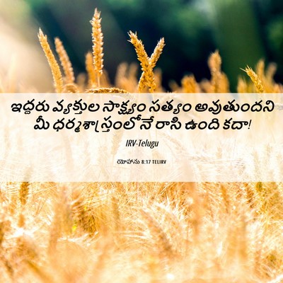 Picture 06 - యోహాను 8:17 TELIRV - ఇద్దరు వ్యక్తుల - Bible Verse Picture