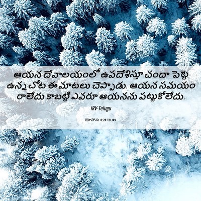 Picture 06 - యోహాను 8:20 TELIRV - ఆయన దేవాలయంలో - Bible Verse Picture