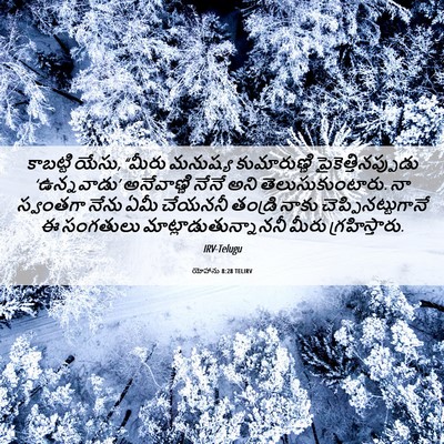 Picture 06 - యోహాను 8:28 TELIRV - కాబట్టి యేసు, - Bible Verse Picture