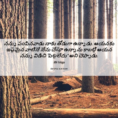 Picture 06 - యోహాను 8:29 TELIRV - నన్ను పంపినవాడు - Bible Verse Picture