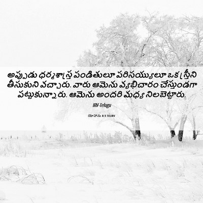 Picture 06 - యోహాను 8:3 TELIRV - అప్పుడు - Bible Verse Picture