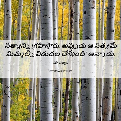 Picture 06 - యోహాను 8:32 TELIRV - సత్యాన్ని - Bible Verse Picture