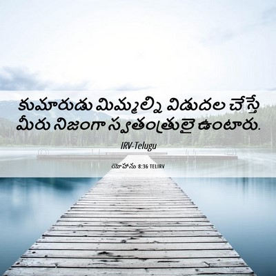 Picture 06 - యోహాను 8:36 TELIRV - కుమారుడు - Bible Verse Picture